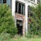 Image for article titled The Feral Factories Of Detroit